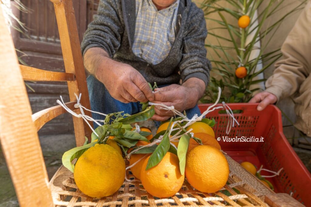 i quarantura di Castel di Lucio